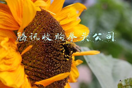 腾讯收购拳头公司