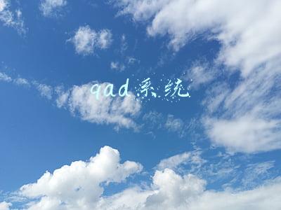qad系统