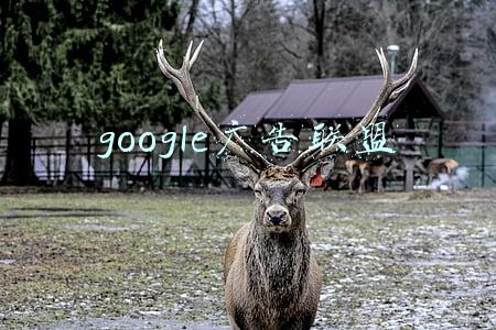 Google广告联盟通过需要多久(如何在Google上开通广告账户？开通Google ads需要什么资料？)