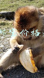 e邮宝价格表