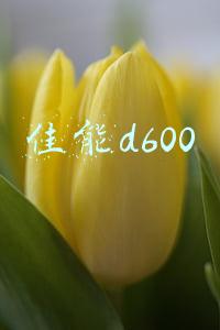 佳能d600和d700区别(认识尼康镜头型号 肯定有你忽视的知识点)