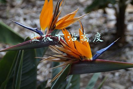 篮板最上沿离地面的高度(卡特亲承摸过篮板上沿，这时期才是他巅峰！NBA历史仅3人亲承能摸)