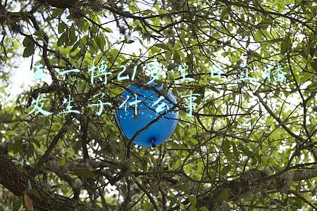 王一博20岁生日直播发生了什么事(王一博24岁生日，腾讯等多家媒体卡点送祝福，网友直呼太哇塞)