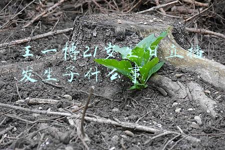 王一博21岁认定的事(顶尖人才汇聚的《我的时代和我2》官宣，23岁的王一博凭什么？)