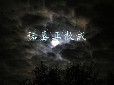 诺基亚款式大全(229元起！诺基亚经典手机开售，支持移动支付)