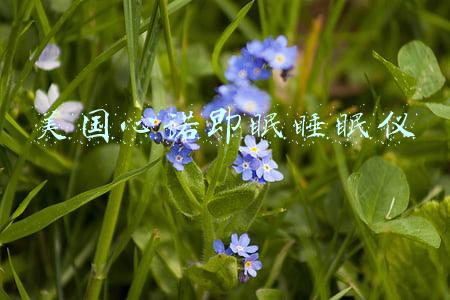 美国心诺睡眠仪原理有效果吗(睡眠仪哪个牌子好？心诺即眠让睡眠“智”在掌握)