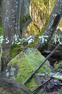 iphone如何下载视频(苹果手机APP内下载的视频如何保存到本地或上传到云端与其他APP？)