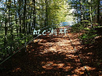 htcu潮牌(联想skullcandy入耳式耳机ANDO首测)