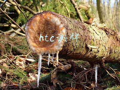 htc品牌(曾单挑苹果盖过三星，2000亿市值的htc是如何跌入低谷的？)