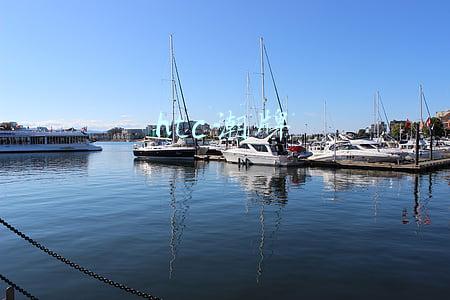 htc一键解锁工具(手机越用越慢，想要刷机？刷机工具请拿走)