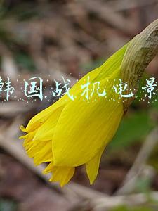 韩国战机电影