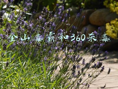 金山毒霸和360杀毒