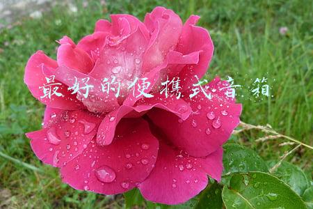 咪宝便携式音箱(小身材不仅大音量，还能痛快K歌，艾特铭客金刚6 MiNi便携音箱上手)