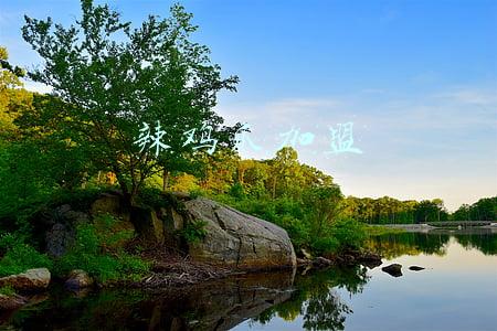 柠檬鸡爪加盟(花250买材料自制月入3万的无骨鸡爪，详细配料比例分享，快来收藏)