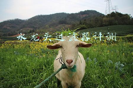 水龙头过滤器评测 水龙头过滤器评测