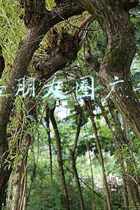 卖房朋友圈广告语