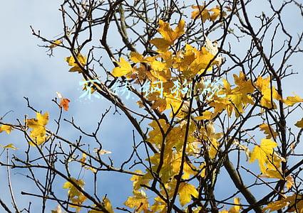 不锈钢狗碗 不锈钢狗碗