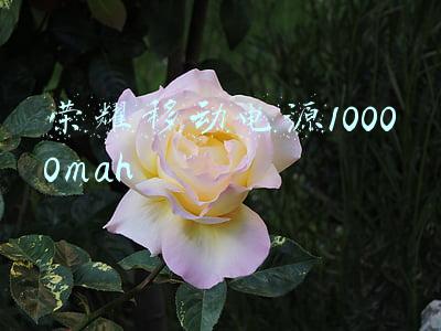 荣耀移动电源10000mah