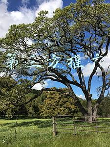 第三方推广渠道有哪些(企业做网络推广的途径有哪些？)