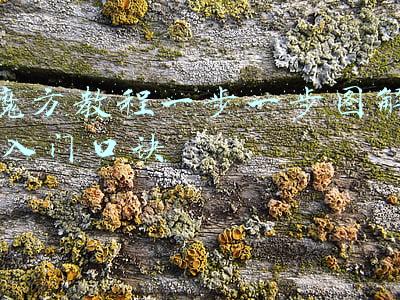 魔方教程一步一步图解 入门口诀第一讲(小学生魔方操作：100集入门视频教程，公式+口诀+图解，送你参考)