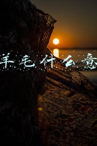 薅羊毛什么意思 淘宝(薅羊毛UP主被封号 薅羊毛是什么意思为什么被封号)