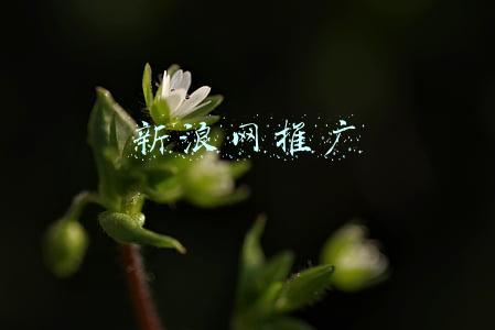 新浪网首页官网(奶茶妹父亲起诉造谣者索200万)