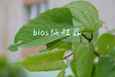 bios编程器