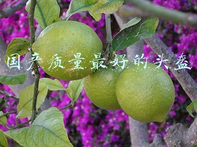 国产质量最好的头盔
