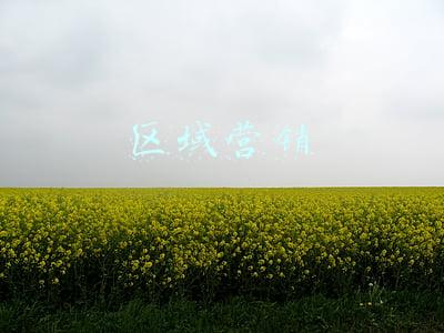 区域营销