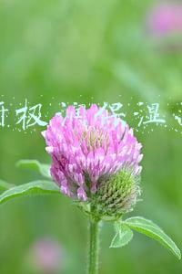 肌研极润保湿面霜成分分析(春江水暖鸭先知，护肤保湿成分你知道多少？)