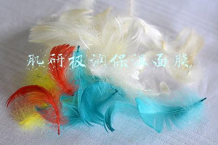 肌研海洋面膜怎么样(面朝大海，一股护肤新浪潮来袭｜海洋の肌肤疗愈力)