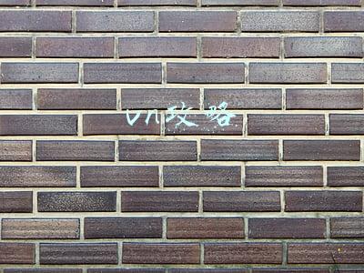 vn怎么玩(云顶之弈S5.5：VN成版本上分黑科技，无视铁甲前排，只要两件装备)