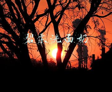 碧柔洗面奶哪款好用(屈臣氏公认好用的洗面奶，每个都很平价，但效果却很好)