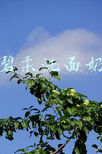 碧柔洗面奶怎么样(比呀比： Biore 碧柔 保湿补水弱酸性洗面奶 130g 309日元)