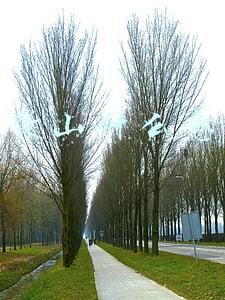 每个人心里都有一座断背山什么意思(断背山是什么梗)