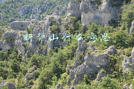 断背山什么意思