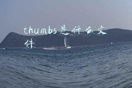 thumbs是什么文件
