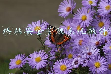 终端安全管理系统软件