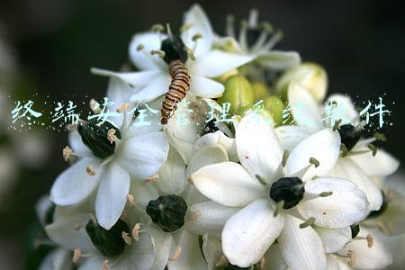 终端安全登录系统(北信源：网安主业受益高景气周期，移动安全办公或成第二增长曲线)