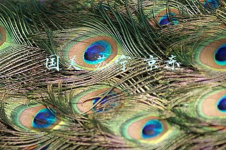 国美 苏宁 京东