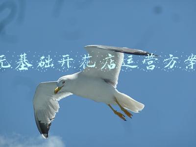 无基础开花店运营方案