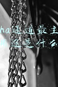 alpha通道名词解释(这些PS专业术语！必须掌握！南京平面设计PS培训.)