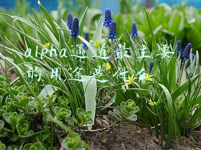 alpha通道(ps学习之旅：一种可以抠出复杂人物图的技巧，Alpha通道使用方法)