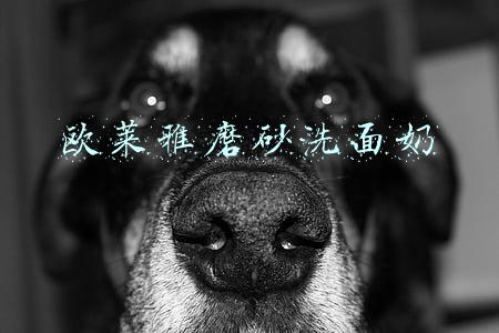 欧莱雅磨砂洗面奶是哪款(好用的男士收缩毛孔洗面奶有哪些？这些洗面奶男士都爱用)