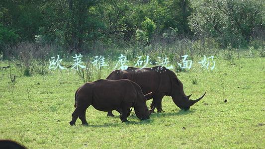 欧莱雅磨砂洗面奶怎么没有了(男士洗面奶吐槽篇：别踩雷了还乐呵呵，替男朋友做护肤功课！)