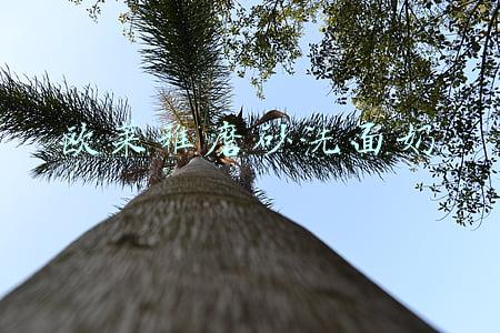 男士磨砂洗面奶(口碑最好的男士洗面奶排名 2020十大男士洗面奶推荐)