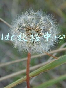 idc数据中心龙头上市公司排名(数据中心概念爆发！“东数西算”工程启动，10股涨停)