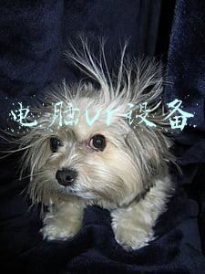 电脑vr设备排行(2021中国VR50强企业排行榜（附年榜TOP50详单）)