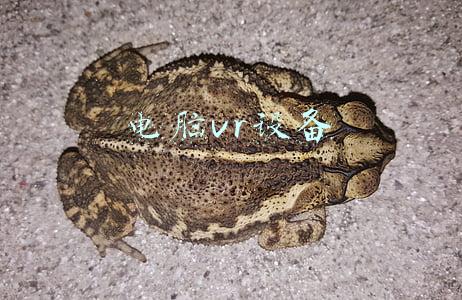 电脑vr设备哪个好(如何挑选优质VR游戏内容？通过6款PC大作实测告诉你答案)