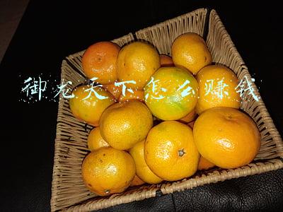 御龙在天手游如何赚人民币(《御龙在天》新服赚钱攻略 如何成为富豪)
